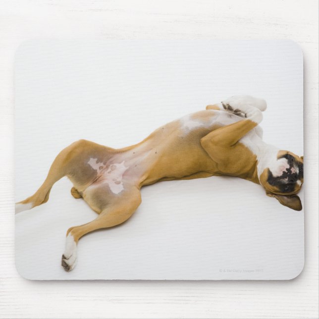 Boxer dog laying on her back on the floor mouse pad (Front)