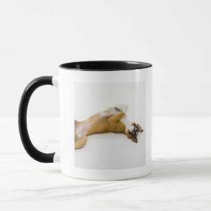 Boxer dog laying on her back on the floor mug