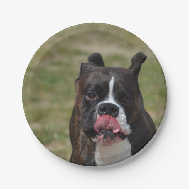 Boxer Dog Licking His Chops Paper Plate (Front)