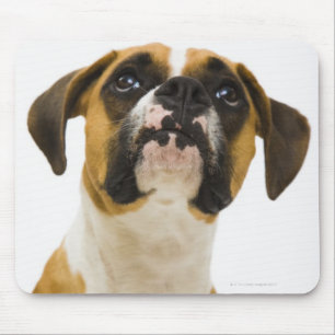 Boxer dog looking up mouse pad