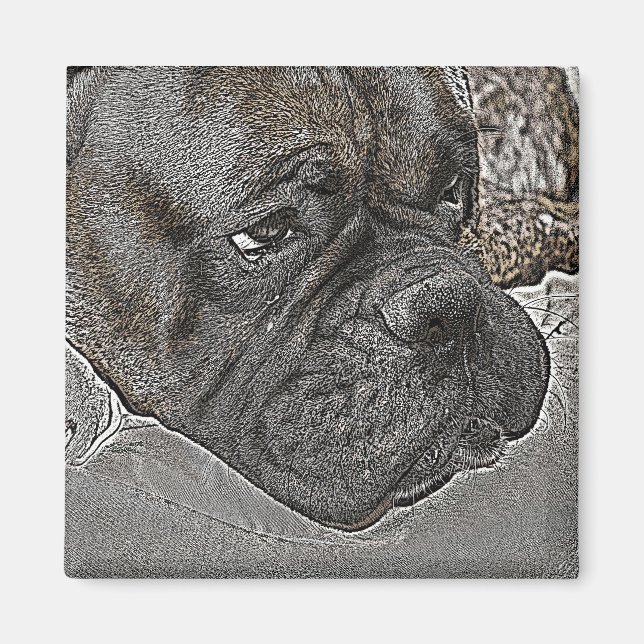 Boxer Dog Magnet (Front)