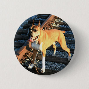 Boxer dog on Railroad Track Button