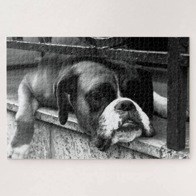 Boxer Dog On Windowsill 20x30 1014pc jpcn Jigsaw Puzzle (Horizontal)