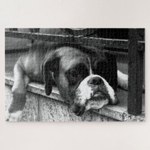 Boxer Dog On Windowsill 20x30 1014pc jpcnm Jigsaw Puzzle