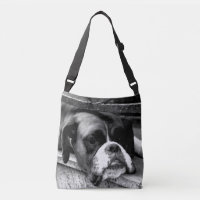 Boxer Dog On Windowsill bagcb arc2