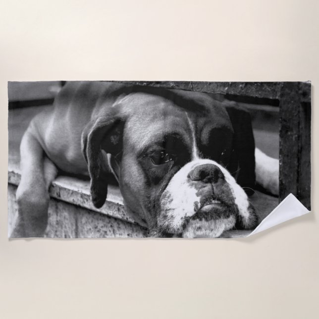 Boxer Dog On Windowsill btcnm Beach Towel (Front)