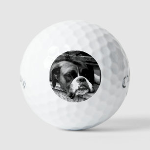 Boxer Dog On Windowsill css gbcnm Golf Balls