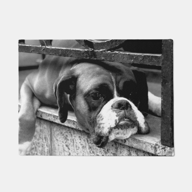 Boxer Dog On Windowsill dm arc1 Doormat (Front)