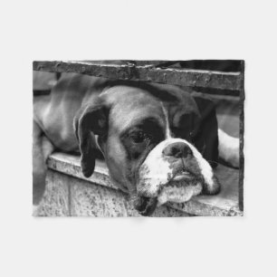 Boxer Dog On Windowsill fbcn Fleece Blanket