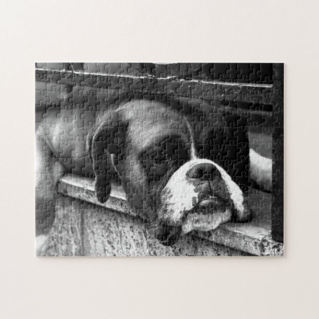 Boxer Dog On Windowsill jp arc1 Jigsaw Puzzle (Horizontal)
