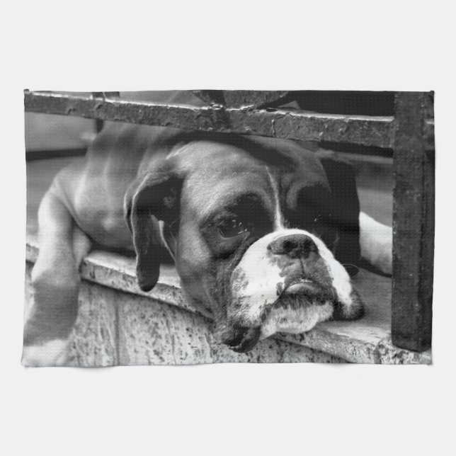 Boxer Dog On Windowsill ktm Tea Towel (Horizontal)