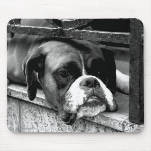 Boxer Dog On Windowsill mpcna Mouse Pad