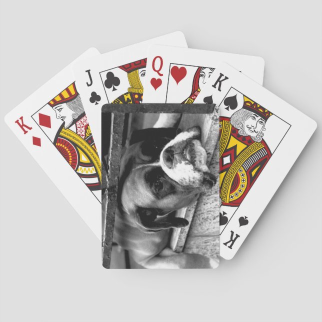 Boxer Dog On Windowsill pccnm Playing Cards (Back)