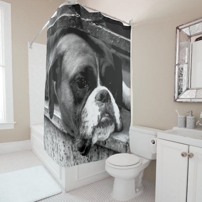 Boxer Dog On Windowsill sca Shower Curtain (In Situ)