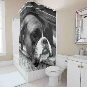 Boxer Dog On Windowsill scm Shower Curtain