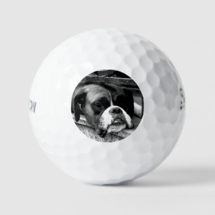 Boxer Dog On Windowsill ssf gbcna Golf Balls