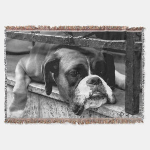 Boxer Dog On Windowsill tbcn Throw Blanket