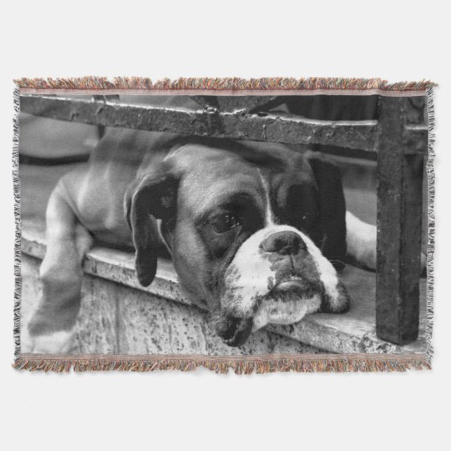 Boxer Dog On Windowsill tbcna Throw Blanket (Front)