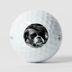 Boxer Dog On Windowsill tmtp5 gbcnm Golf Balls