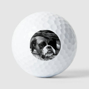 Boxer Dog On Windowsill va gbcnm Golf Balls