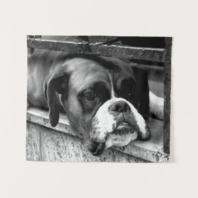 Boxer Dog On Windowsill wtcnm Tapestry (Front (Horizontal))