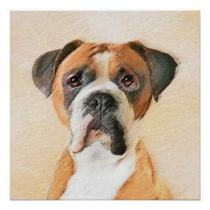 Boxer Dog Painting Uncropped Original Animal Art Poster
