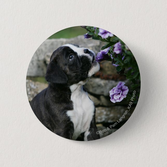 Boxer Dog Panting 6 Cm Round Badge (Front)