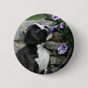 Boxer Dog Panting 6 Cm Round Badge