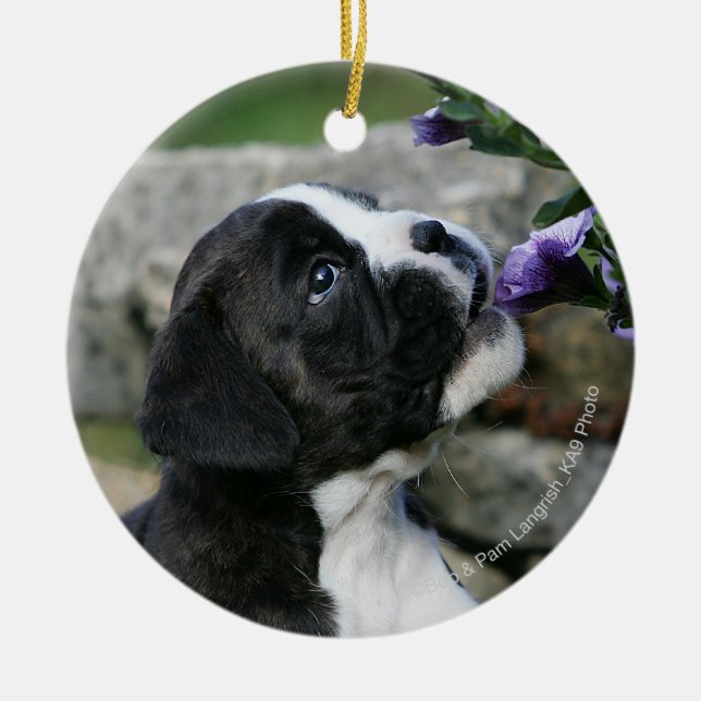 Boxer Dog Panting Ceramic Tree Decoration (Front)