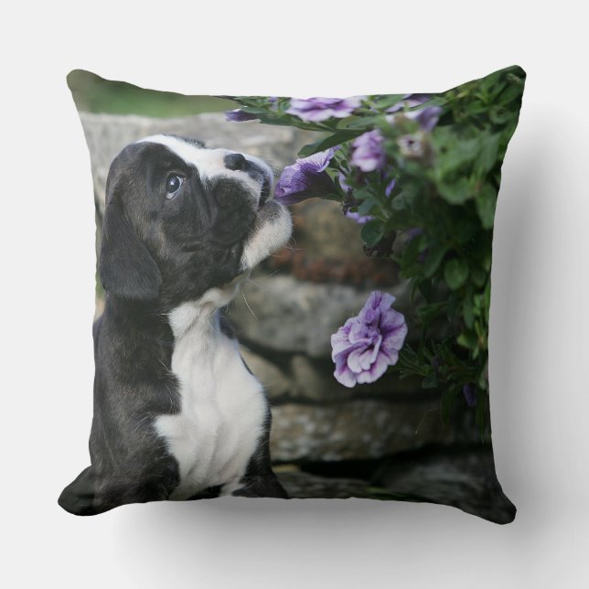 Boxer Dog Panting Cushion (Front)