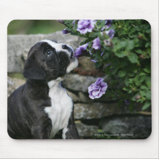 Boxer Dog Panting Mouse Pad