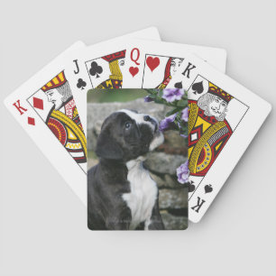 Boxer Dog Panting Playing Cards