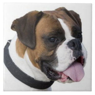 BOXER DOG, Pet Love, Best Friend KEEPSAKE Tile
