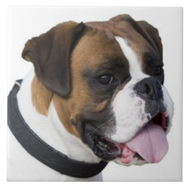 BOXER DOG, Pet Love, Best Friend KEEPSAKE Tile (Front)