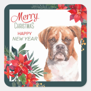 Boxer Dog Poinsettia Border Christmas Square Sticker