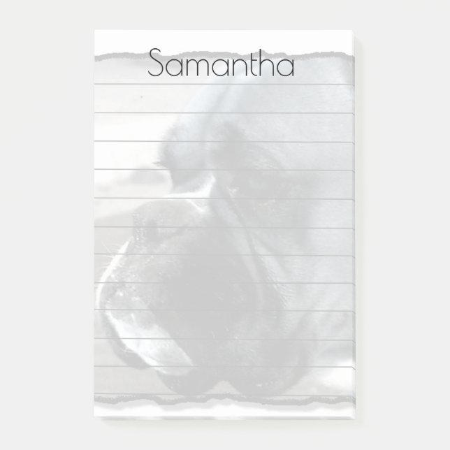 Boxer Dog post it notes pad (Front)