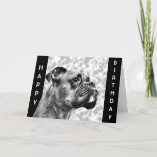 Boxer Dog profile Card