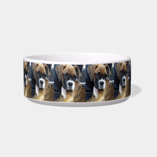 BOXER DOG PUPPY dog dish