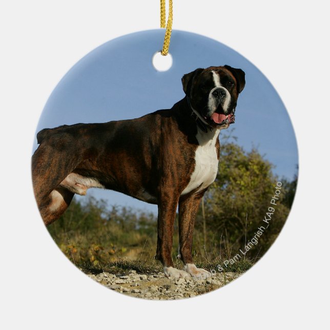 Boxer Dog Show Stance Ceramic Tree Decoration (Front)