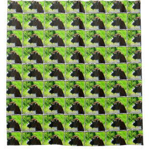 Boxer Dog Shower Curtain