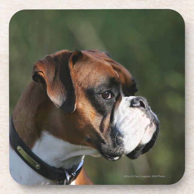 Boxer Dog Side Profile Coaster (Front)