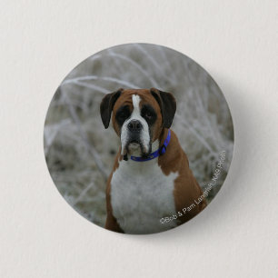Boxer Dog Sitting in the Frost 6 Cm Round Badge