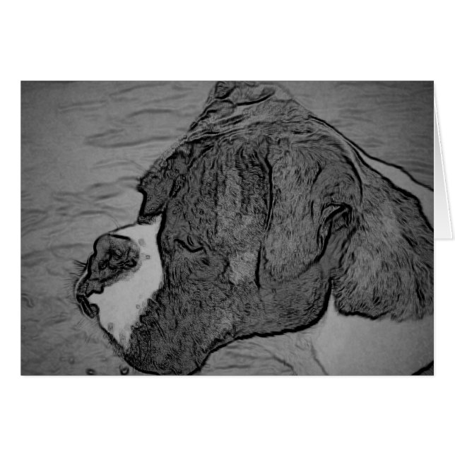 Boxer Dog Sketch (Front Horizontal)