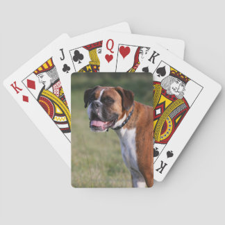 Boxer Dog Standing Playing Cards