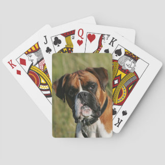 Boxer Dog Staring at Camera Playing Cards