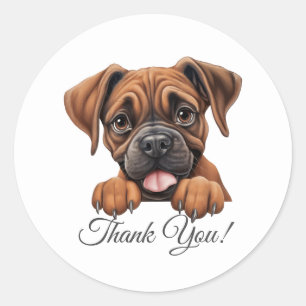 Boxer Dog Thank You Classic Round Sticker