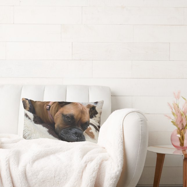 Boxer Dog Throw Pillow (Couch)