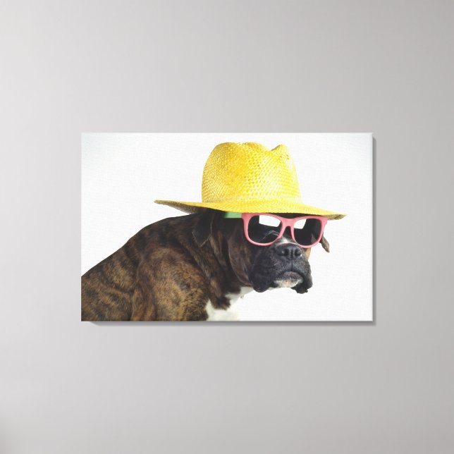 Boxer dog with hat and glasses canvas print (Front)