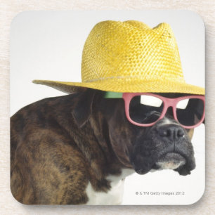 Boxer dog with hat and glasses coaster