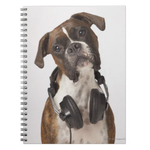 boxer dog with headphones notebook